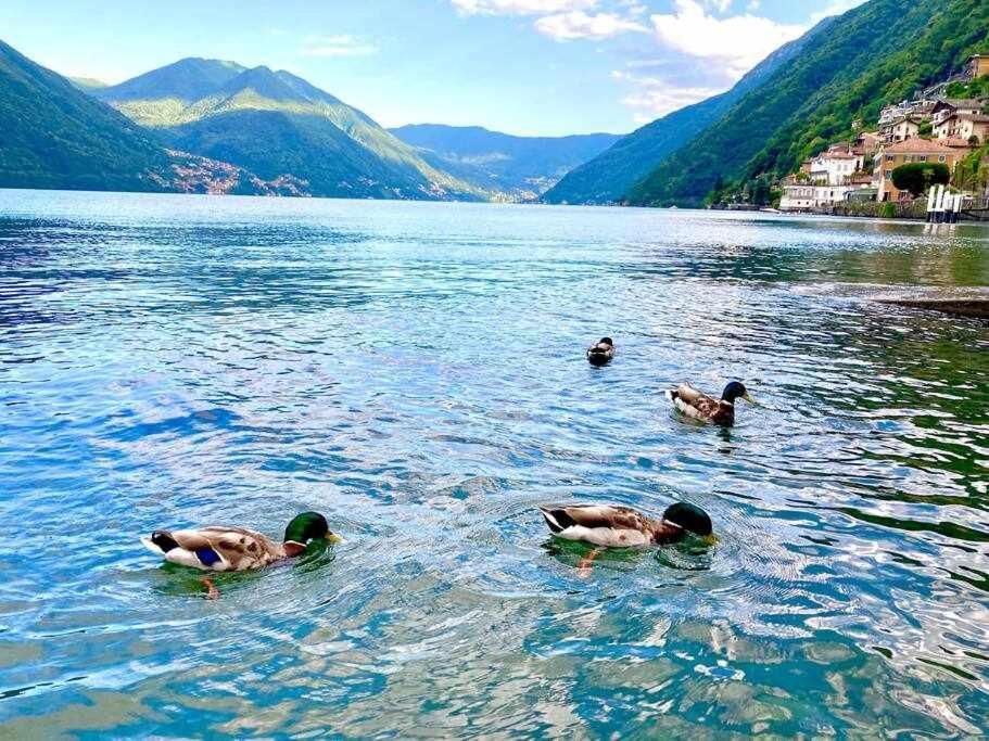 Una Finestra Sul Lago 아르제뇨 외부 사진